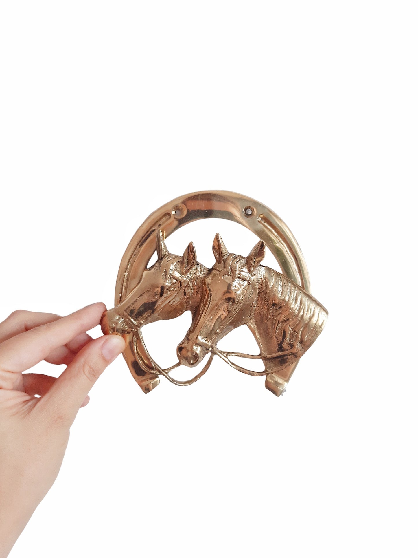 Cast Brass Horseshoe Wall Decor